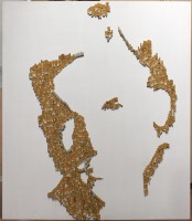 /album/proyecto-im-/img-3092-jpg/